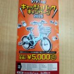 6月はビビの日!